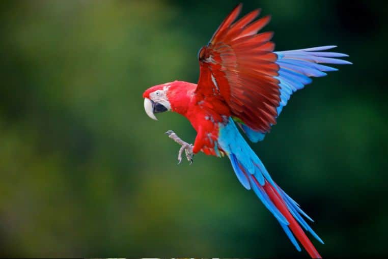 pires expériences vécues en vacances (5)