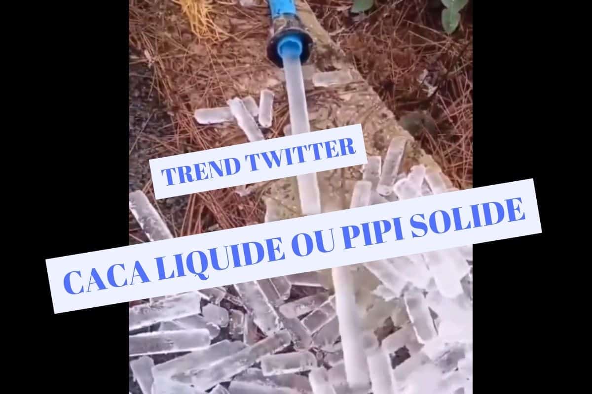 CACA LIQUIDE OU PIPI SOLIDE trend twitter (1)