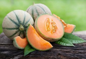 Melon