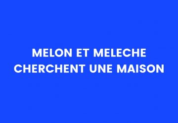 blague melon