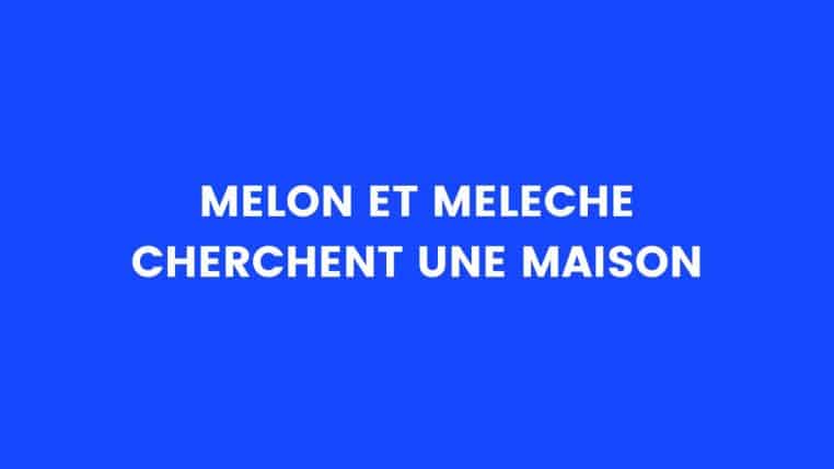 Blague du jour : Julie et Roxane sont au restaurant