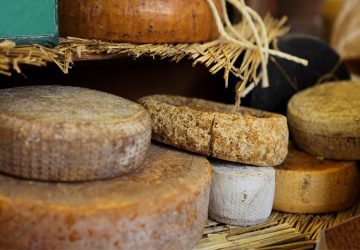 écrasé meules fromages (2)