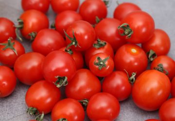 epidemie tomates cerises qui est concerne