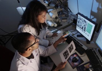 femme scientifique actu étude vieille age sciences