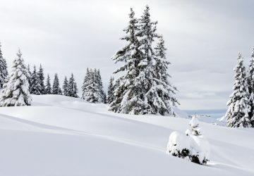 Les vacances de février perturbé par la grogne des agriculteurs
