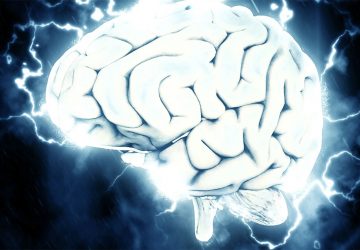 ver cerveau femme actu insolite histoire
