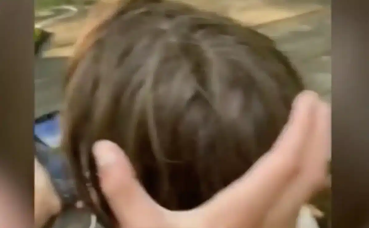 challenge TikTok virgule actu réseaux