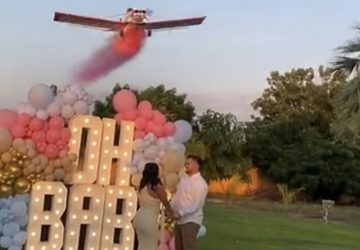 gender reveal crash avion actu