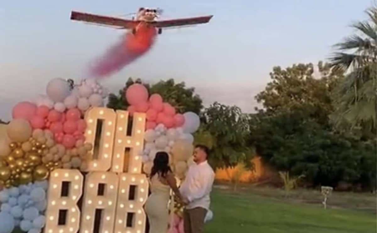 gender reveal crash avion actu