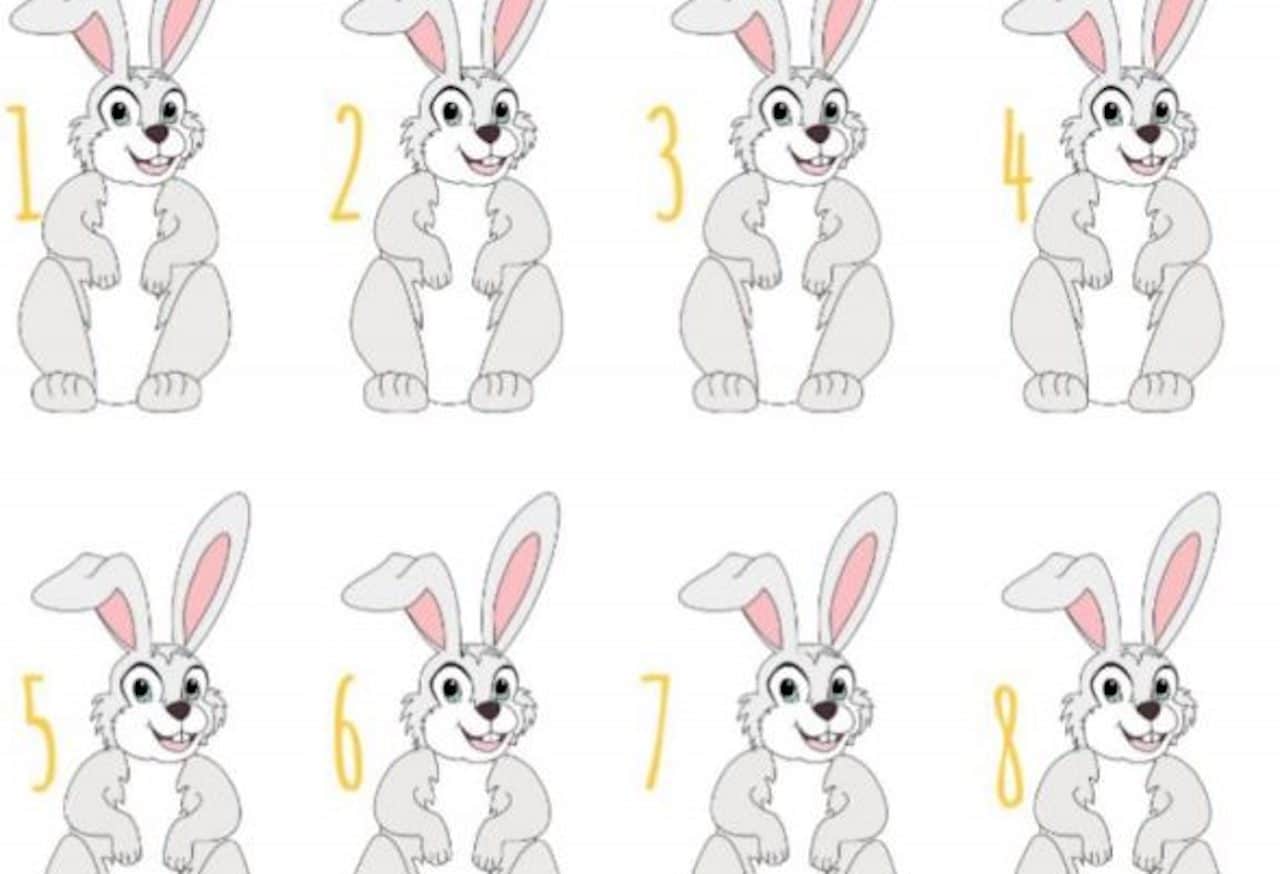 lapin