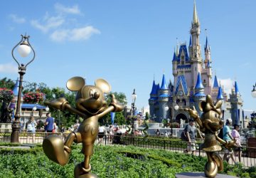parc disney world ourse ours (1)