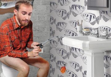 peche toilettes