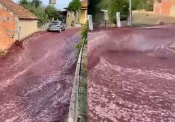 vin rouge rues portugal