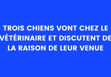 blague chiens