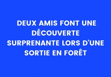 blague foret