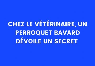blague vétérinaire