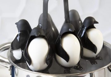 support oeufs