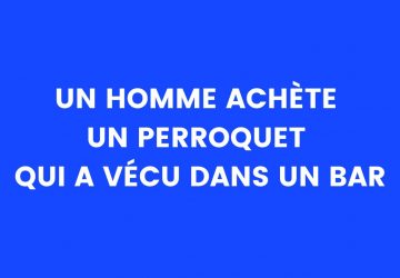 BLAGUE PERROQUET