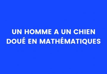 blague chien