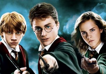 Lidl : l'enseigne dévoile son catalogue d'articles Harry Potter