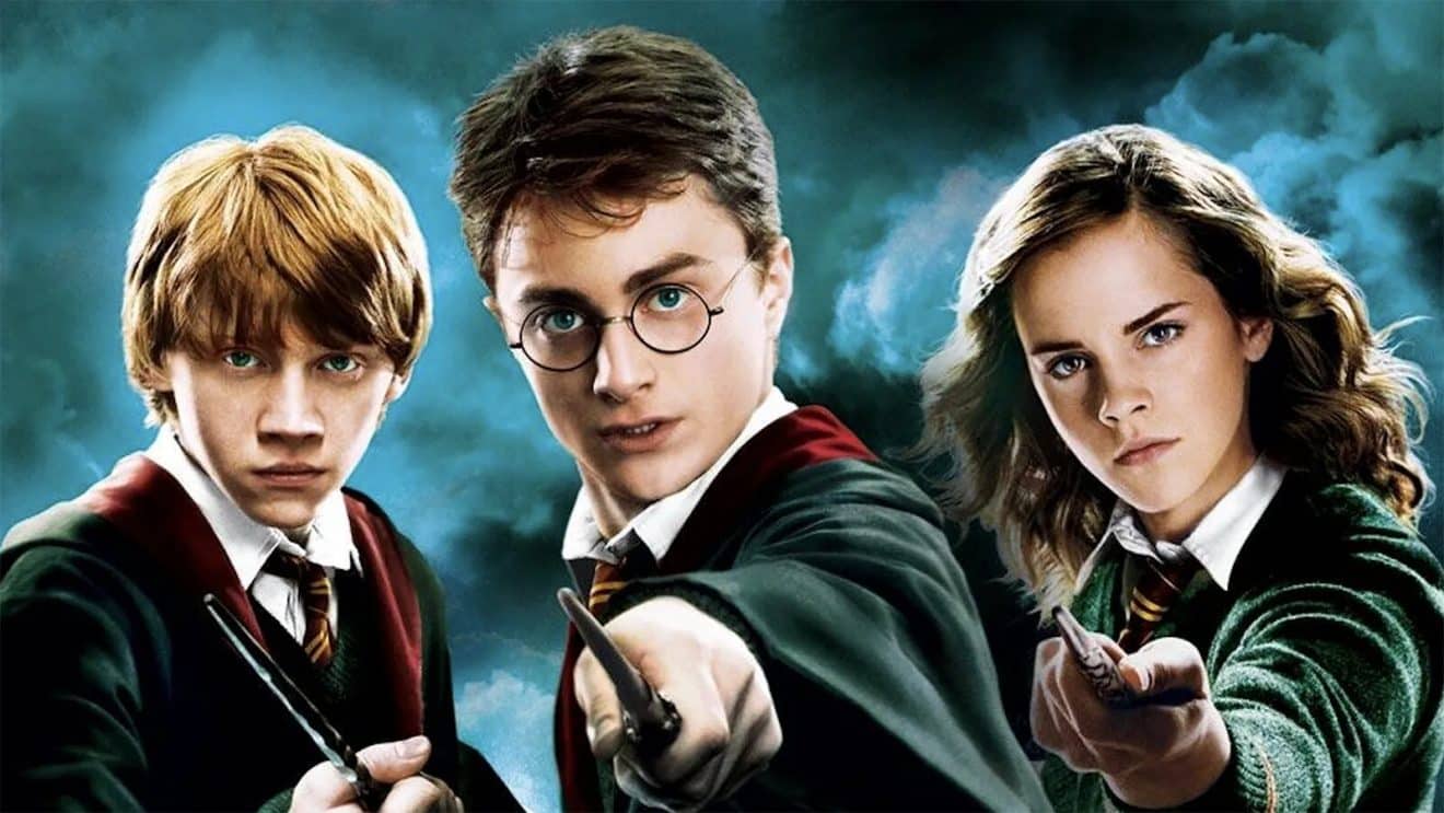 Lidl : l'enseigne dévoile son catalogue d'articles Harry Potter