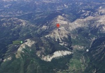 homme mort retrouvé chien vivant insolite actu info