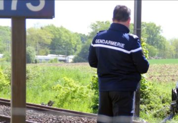 homme train vivant Ille-et-Vilaine bretagne (2)