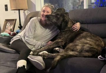 Amanda Richmond Rogers sauver chien (3)