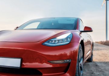 Tesla klaxon bruit chèvre