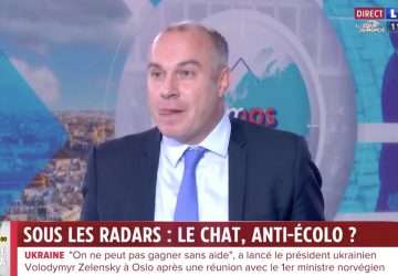 chiens chats ecologie