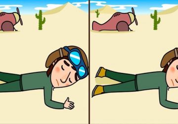 pilote