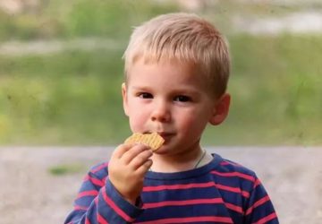 disparition emile (2)