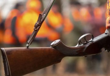nouvelle accident chasse fillette trois ans tue