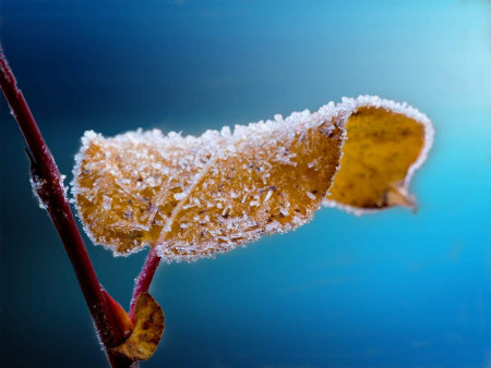 -30° C relevés en France !