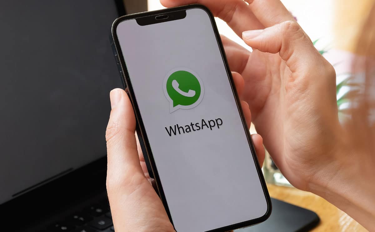 WhatsApp payante option smartphone téléphone portable actu