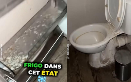 appartement insalubre