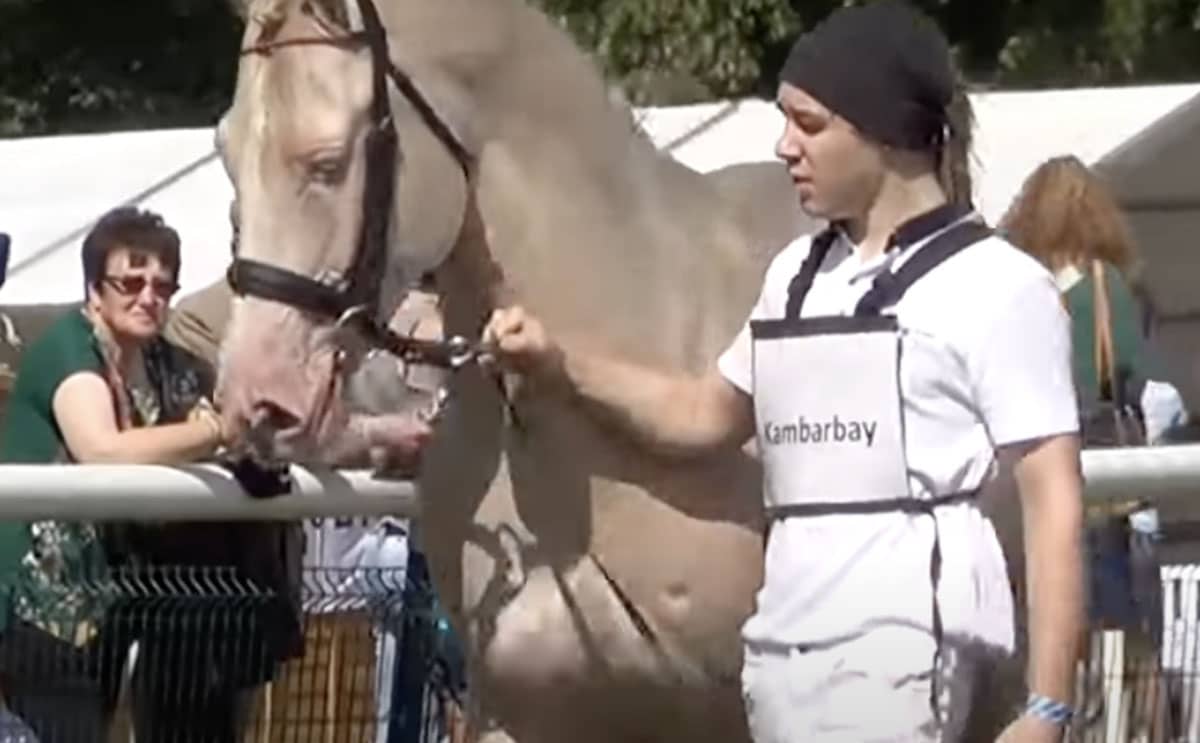 Ce cheval à la robe d'or est le plus beau du monde