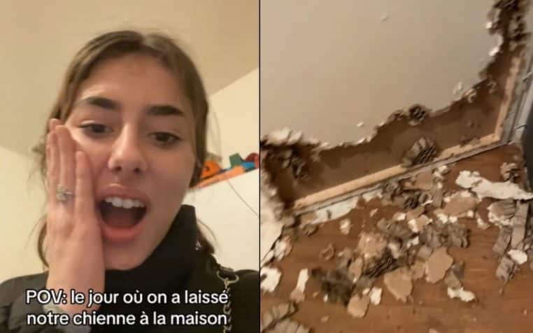 Laisse sa chienne seule à la maison