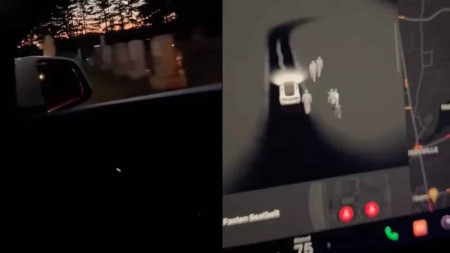 fantomes tesla