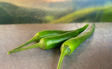 3 piment vert
