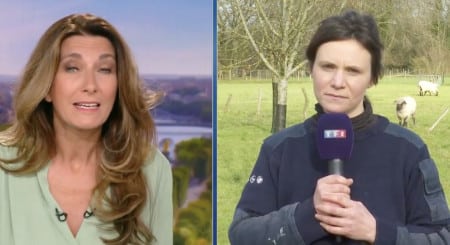 tf1 agricultrice