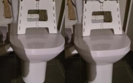 Rats toilettes