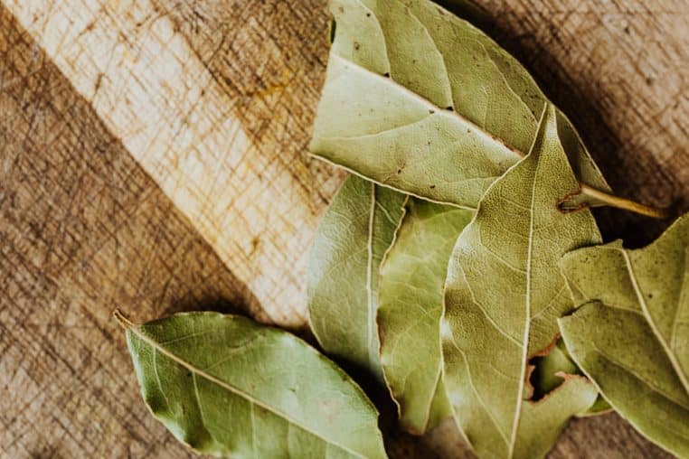 Le laurier pour avoir une maison parfumé