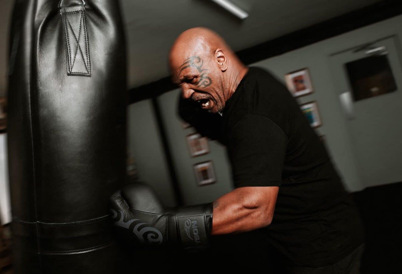 mike tyson fait son grand retour en boxe