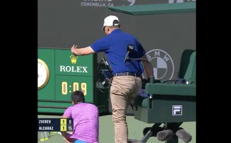 arbitre alcaraz indian wells abeilles