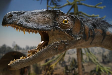 dinosaures