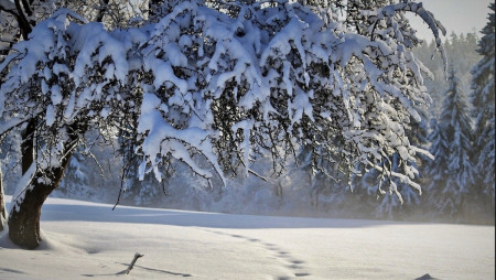 vent neige retour meteo