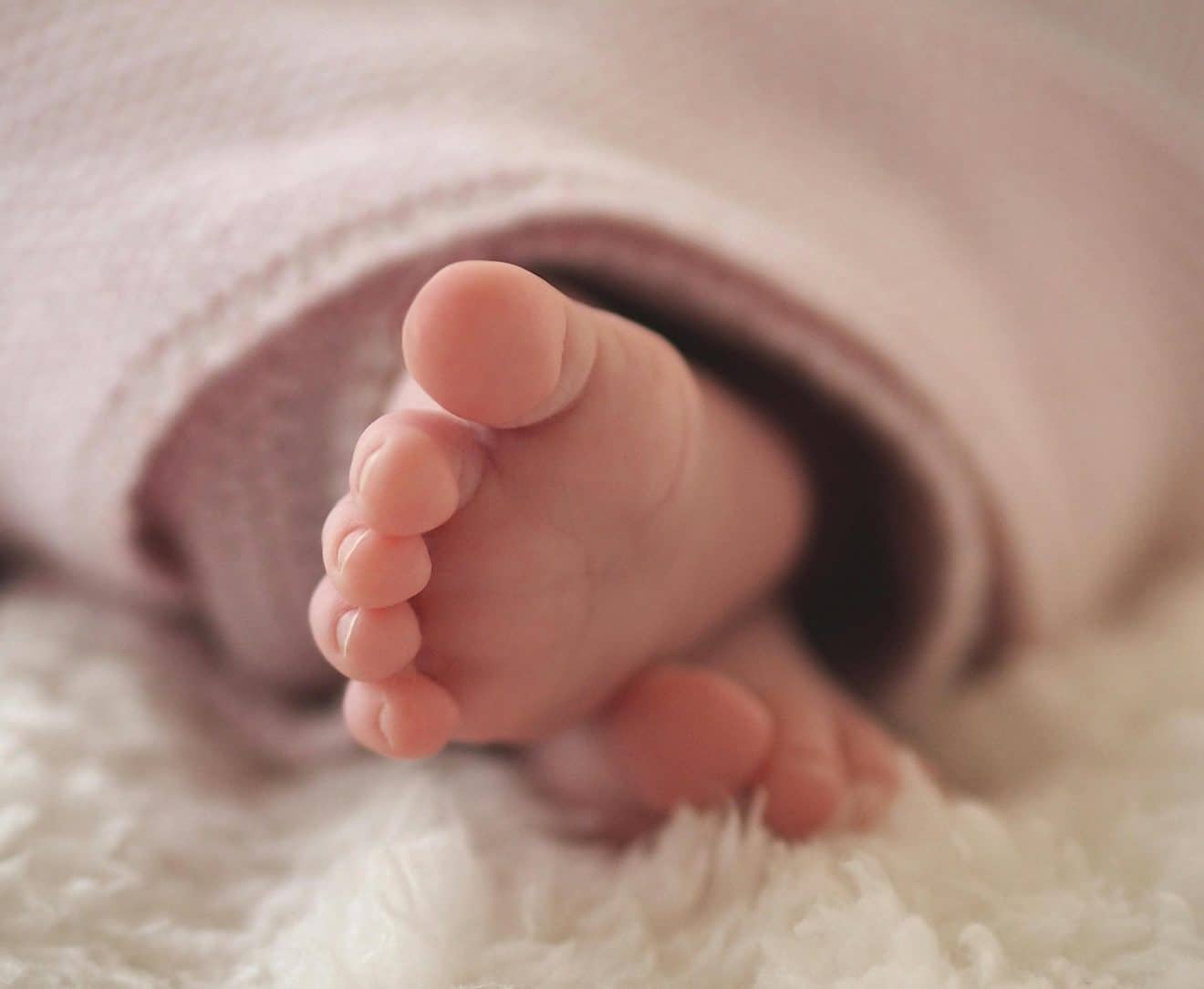 Un bébé de 5 mois retrouvé en état de décomposition