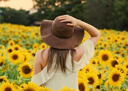 Un été plus chaud et plus long : qu'en disent les experts ?