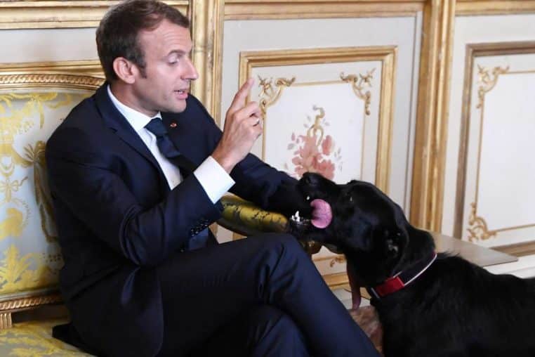 macron chien (3)